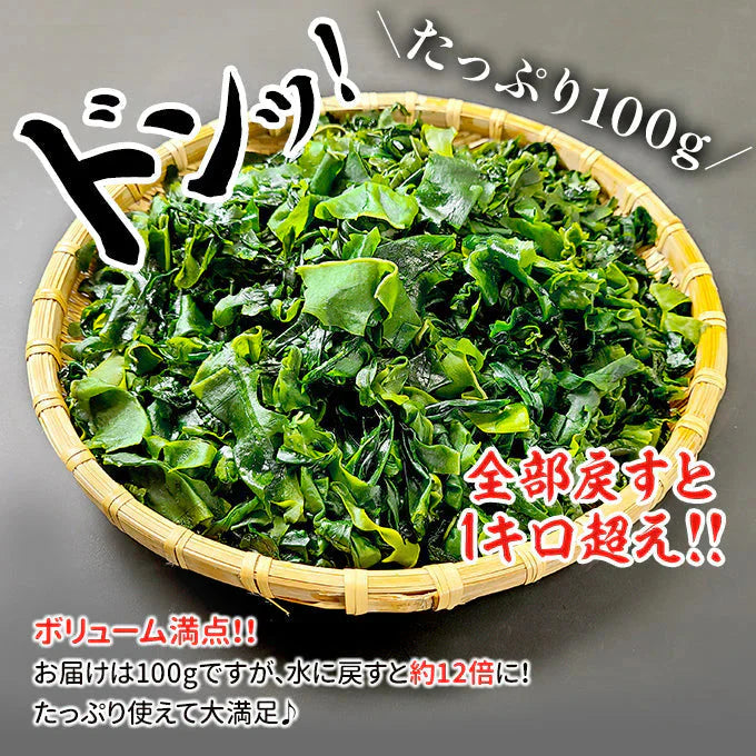 三陸産 カットわかめ 100g 常温便 ネコポス 送料無料