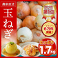 【10営業日以内に発送】約1.7kg（1600g～1800g）たっぷりお届け！つやまる玉ねぎ 農家直送【九州～関西～関東～北陸 発送可】【カウシェファーム収穫対象商品】