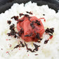 【送料無料】紀州南高梅 つぶれ梅 かつお梅 400g×2袋 ※塩分約8％　紀州 南高梅 梅 セール はちみつ うめしそ かつお　800g 送料無料