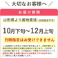 【10月下旬-12月上旬頃ご注文受付順次】訳あり種なし柿約10kg（5kg×2箱）庄内柿平箱詰めご家庭用にたっぷりお届け！柿、かき、カキ