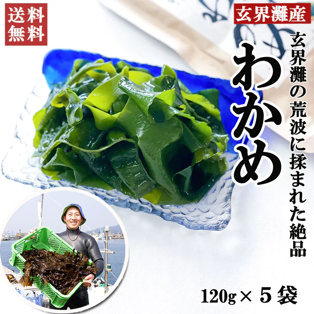 釜揚げわかめ120g×5個　合計600g 送料無料（一部除く）海藻 わかめ ワカメ 玄界灘産 食物繊維 宗像 塩蔵わかめです。ミネラル ビタミン カルシウム 食物繊維 ワカメ 若布  食品 食べ物 お取り寄せグルメ
