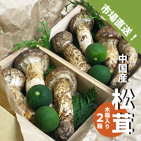 松茸 木箱入り ２箱 ６〜８本 中国産 スダチ入り 生松茸 吸い物 炊き込み マツタケ まつたけ ギフト 贈答用