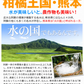みかん　熊本産　おいしいみかん　5kg　サイズおまかせ　ご家庭用（発送予定：11月中旬より）