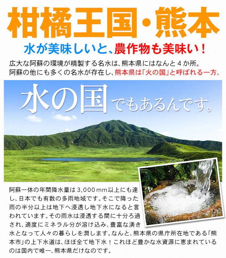 みかん　熊本産　おいしいみかん　5kg　サイズおまかせ　ご家庭用（発送予定：11月中旬より）