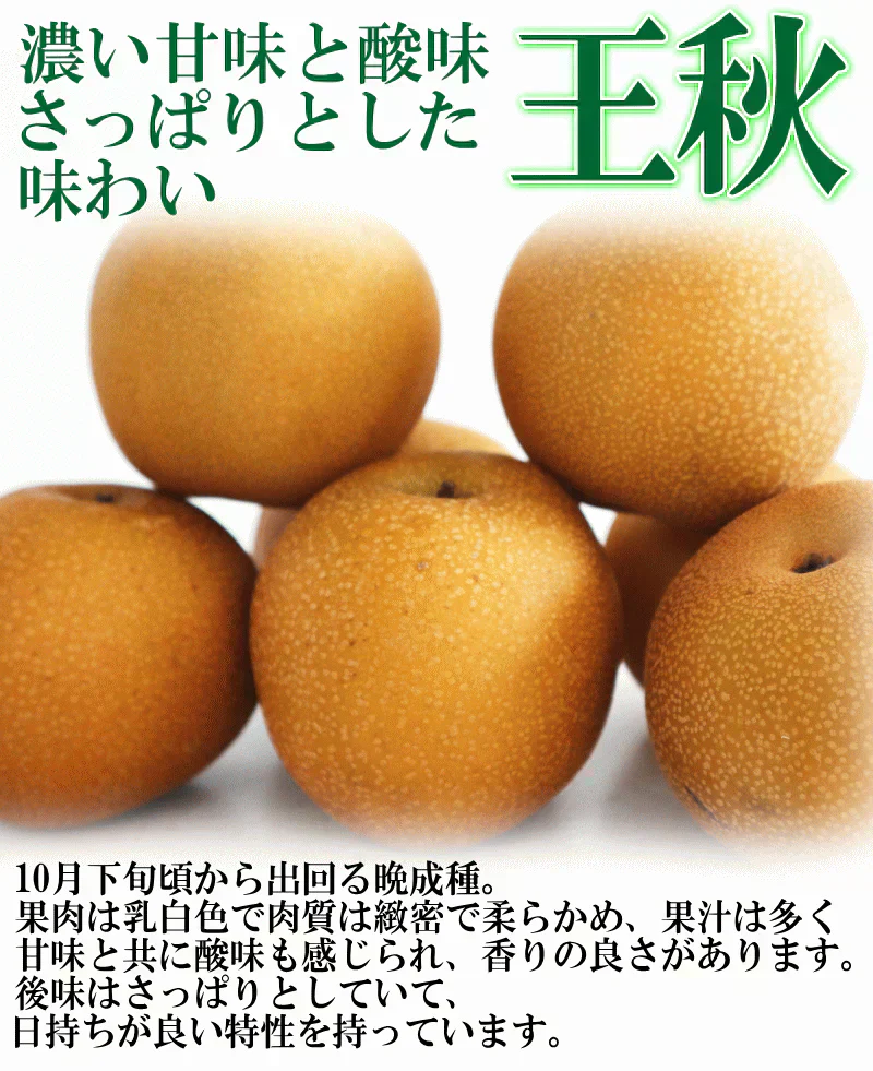 福島県産 梨 なし 2kg箱 ★秀品★品種おまかせ
