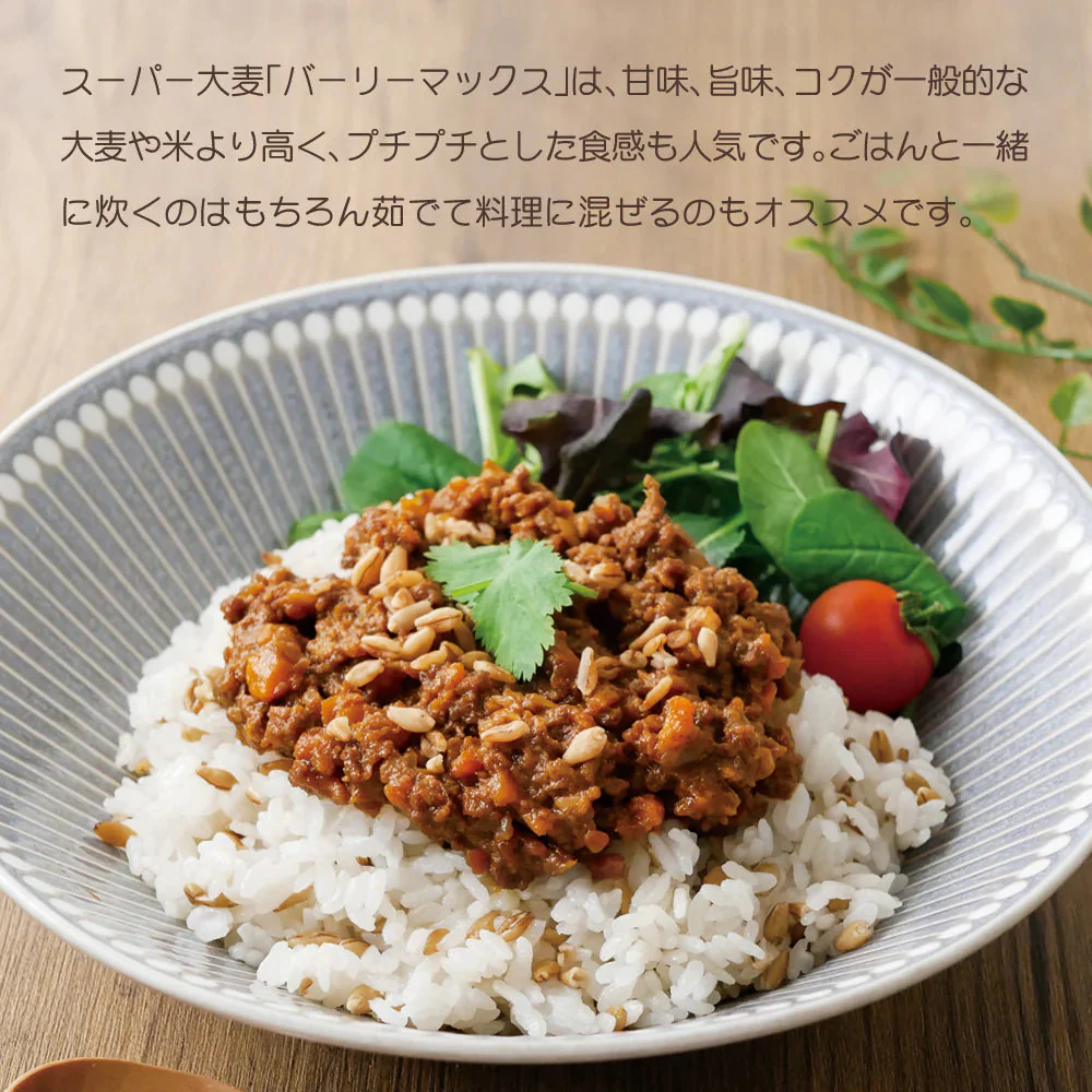 α化 スーパー大麦 800g/袋 バーリーマックス ダイエット 食物繊維 ミネラル スーパーフード 大麦 もち麦 玄麦 腸活 雑穀 レジスタントスターチ β-グルカン  糖質カット 糖質オフ 糖質制限