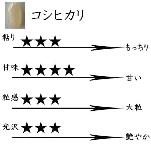 新米 食べ比べ 白米10kg(5kg×2) 滋賀県近江八幡産 コシヒカリ キヌヒカリ 令和6年産 内野営農組合 環境こだわり農産物