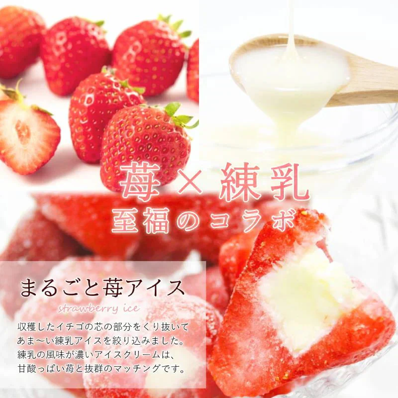 2種ベリーアイスセット まるごと苺アイス10粒＆冷凍ブルーベリー（100g）4カップ詰合せ　化粧箱 ギフト 冷凍 国産 いちご イチゴ ストロベリー  ベリー 冷凍果実 フルーツ アイス あいす