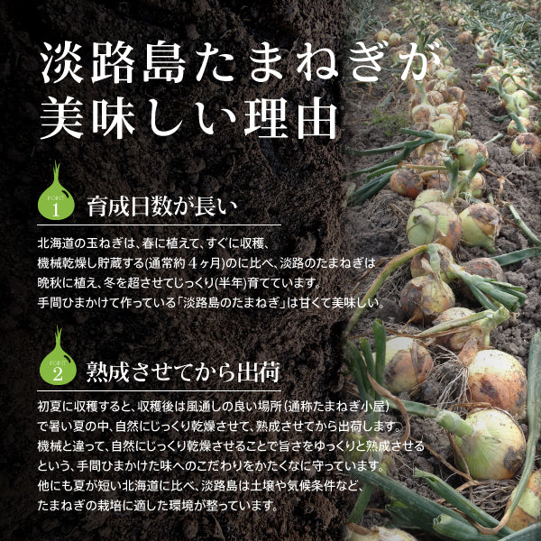 淡路島 たまねぎスープ 15包 食品 お試し オニオン 玉ねぎ タマネギ スープ 調味料 送料無料 メール便