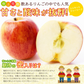 【12月上旬-下旬頃ご注文受付順次】サンふじ　りんご　約10kg箱　24-40玉前後　樹上完熟りんごを産地直送
