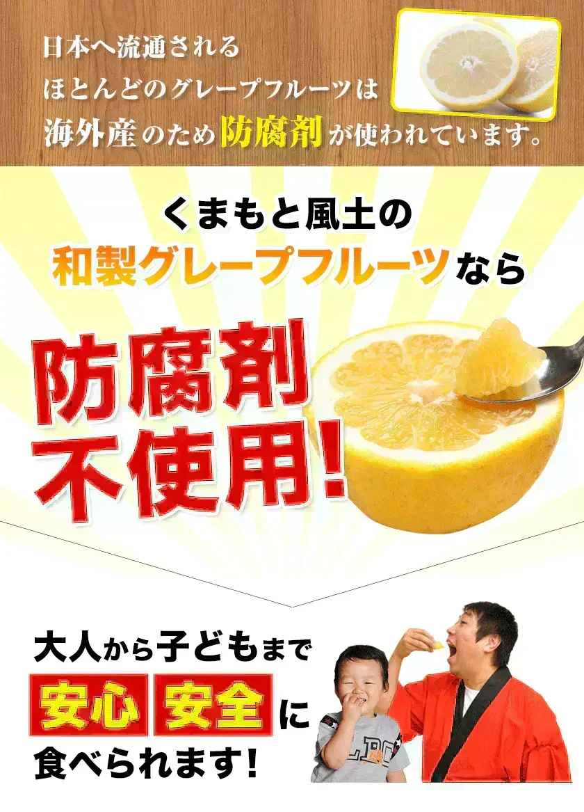河内晩柑 5kg 送料無料 和製 グレープフルーツ フルーツ 果物 みかん 訳あり 夏文旦 晩柑 ジューシーみかん 熊本県産 《1-5営業日以内に発送予定》