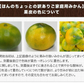 産地直送 熊本県産 みかん 訳あり 送料無料 熊本ミカン 大玉 小玉 不選別 規格外 果物 柑橘 九州 訳アリ 蜜柑 みかん 3-7営業日以内に発送予定（土日祝除く）