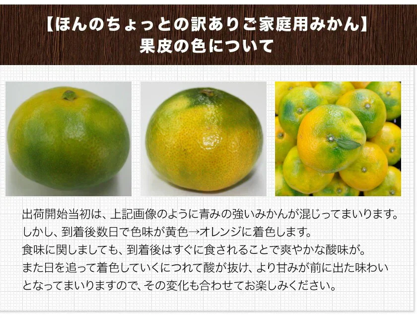 産地直送 熊本県産 みかん 訳あり 送料無料 熊本ミカン 大玉 小玉 不選別 規格外 果物 柑橘 九州 訳アリ 蜜柑 みかん 3-7営業日以内に発送予定（土日祝除く）