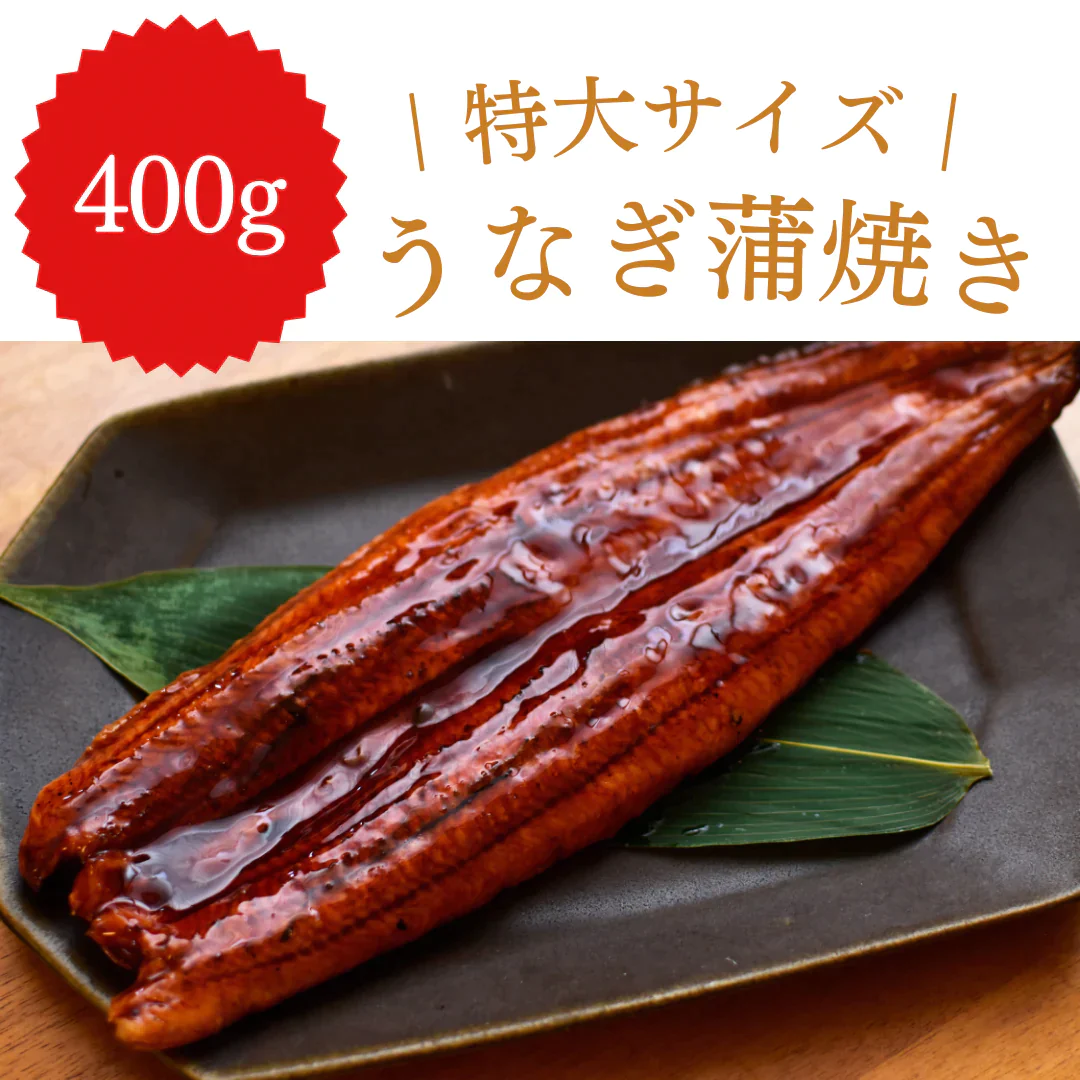 【特大！】うなぎ蒲焼き １尾【コインバック対象】