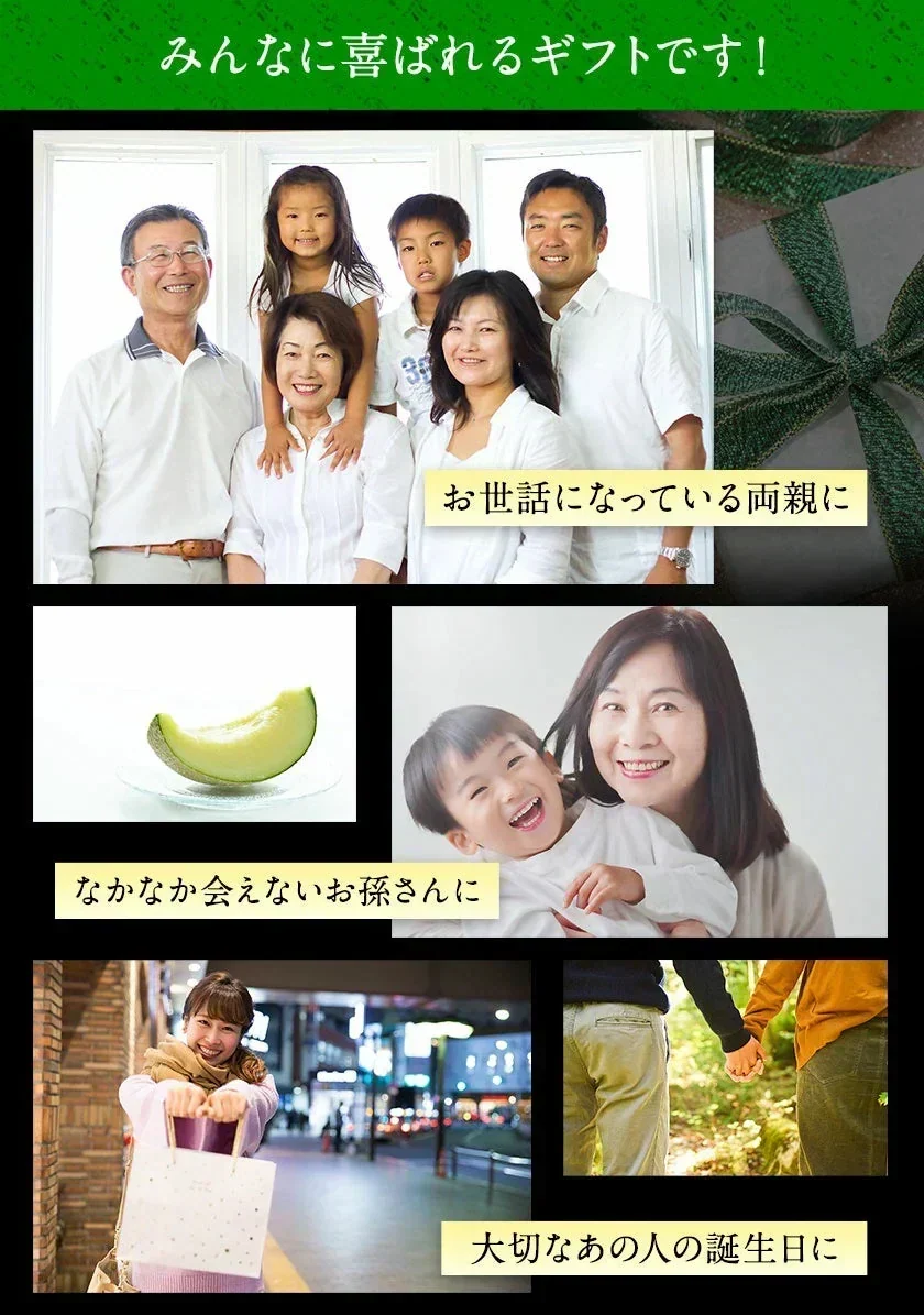 九州産 マスクメロン 2Lサイズ 秀品 1玉 約1.2kg 送料無料 熨斗対応 ギフト プレゼント メロン 贈答 フルーツギフト 贈り物  《1-5営業日以内に出荷予定（土日祝除く）》