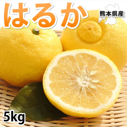 はるか みかん 送料無料 秀品 5kg S～2L 平成生まれの品種 はるかみかん ミカン 蜜柑