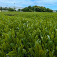 的場園 狭山煎茶 100g×2袋