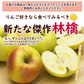 【11月上旬-中旬頃ご注文受付順次】ぐんま名月約5kg箱10-20玉前後 りんご、リンゴ、林檎ふじを超える希少な林檎