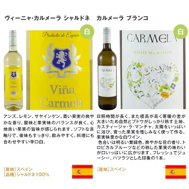 ワインセット 辛口 白ワイン スパークリングワイン 入り 10本 パーティーパック [常温]【4～5営業日以内に出荷】【送料無料】[W][WT10] 辛口ワイン 飲み比べ ワインギフト 母の日 父の日 ギフト