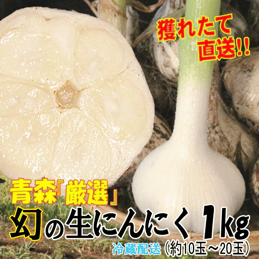 【即日発送】青森県産 幻の生にんにく 1kg【冷蔵便】 令和8年度産 Mサイズ以上L～2L混合
