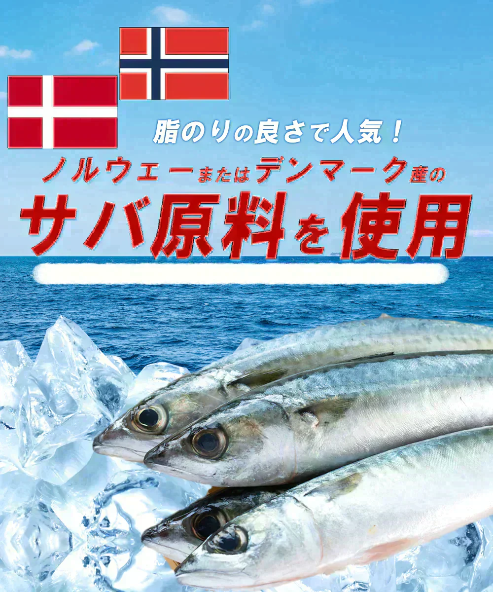 【無塩・無添加】訳あり 骨取りサバの切り身 (端材) 山盛り2kg (500g×4パック) ノルウェー産 デンマーク産 さば 鯖 魚 サバサンド 骨とり 骨取り お歳暮 ホワイトデー