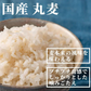雑穀 雑穀米 国産 丸麦 1.6kg(400g×4袋)  人気サイズ 無添加 無着色 送料無料