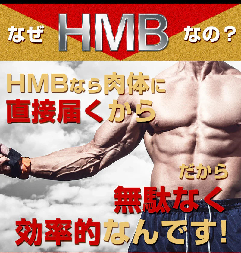 HMB トップギアプロ (HMB TOPGIA PRO) マッスルパワーを強力サポート! 筋肉 強力サポート 筋トレ マッスルパワー 中年太り 運動不足 プロテイン ダイエット 男性 筋トレ サプリメント シトルリン　アルギニン クレアチン カルニチン 亜鉛 マカ HMB スッポン マムシ BCAA 馬睾丸 日本  気力 活力 男力 バルクアップ 太く強く 最強のボディー