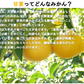 甘夏 訳あり 5kg みかん 蜜柑 ご家庭用 箱買い B品 サイズミックス あまなつ 柑橘 フルーツ 果物 産地直送 愛媛県産 YDF-014