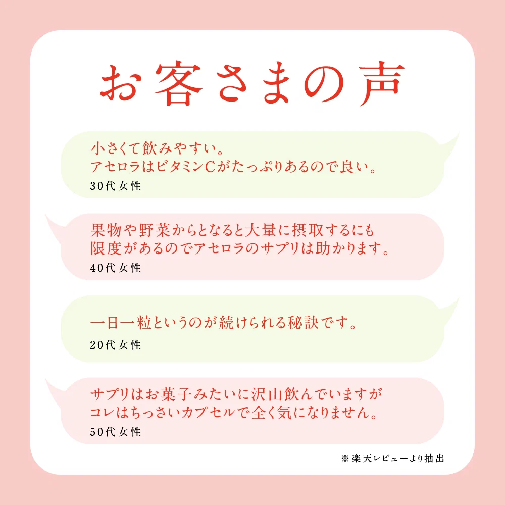 アセロラたっぷりビタミンC《約3ヶ月分》サプリ/アセロラサプリ/ビタミンCサプリ