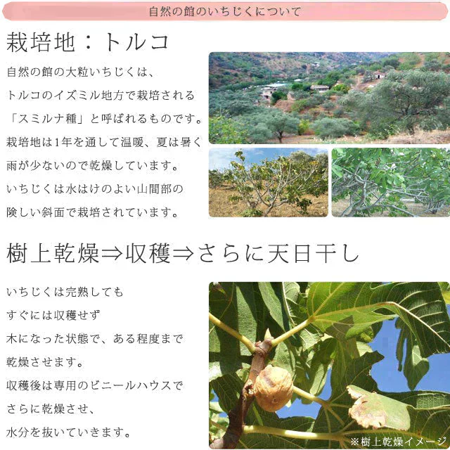 700g ドライいちじく砂糖不使用 イチジク ドライフルーツ 送料無料