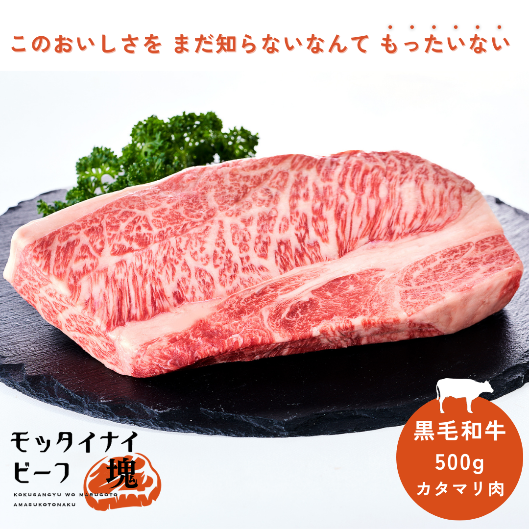 モッタイナイビーフ 塊（黒毛和種 A4ランク以上 500g）