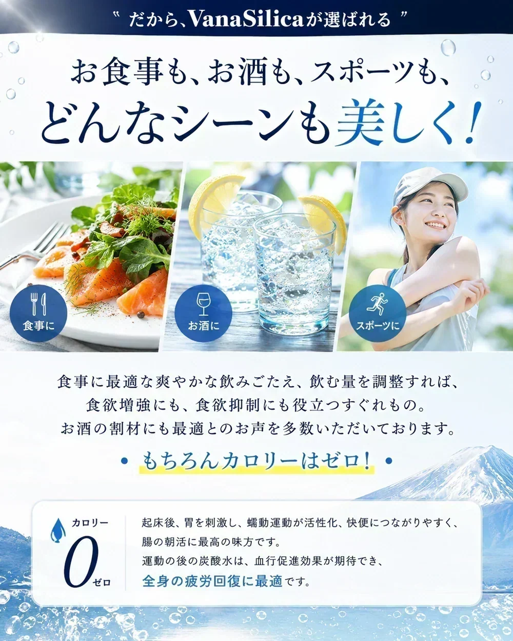 【 1ケース 】 富士山のバナジウム＆シリカ 強炭酸水 VanaSilica（バナシリカ） 500ml 24本 プレーン【ご新規さん限定商品】
