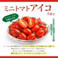 【１番早く届く！】【10月中旬頃〜12月末日までに発送】【予約】１番多い約450g！アイコ ミニトマト(280~300g+保証分150g)日本一の産地から農家直送 熊本県産 野菜 青果 フルーツ【カウシェファーム収穫対象商品】
