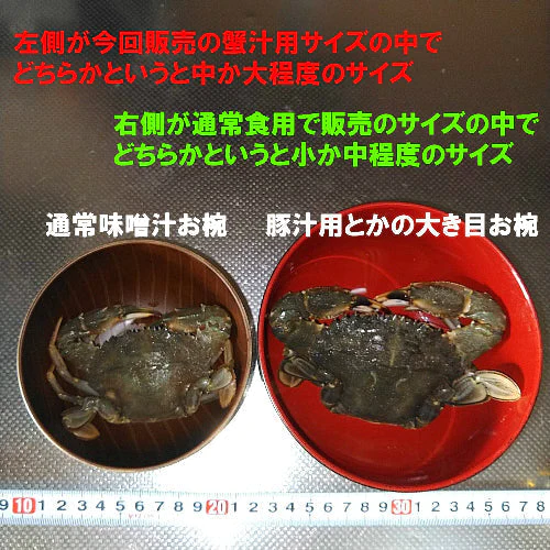 冷凍出荷！カニ汁用！約40杯分！石蟹小サイズ２kg