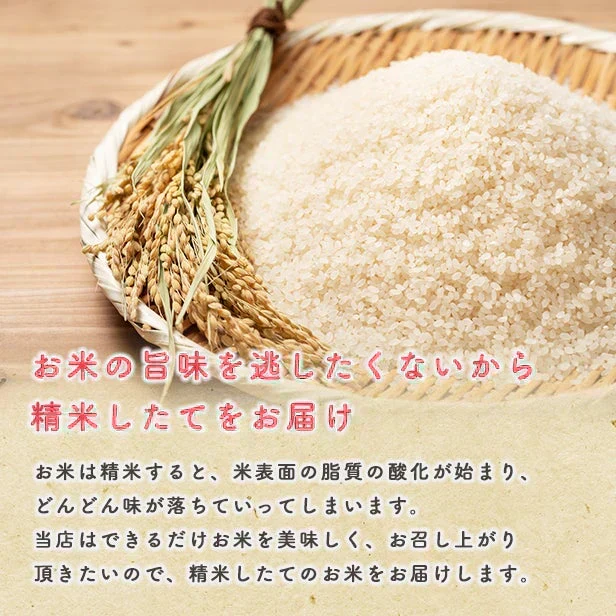 【家計お助け米10ｋｇ】 令和7年産　あきたこまち 10kg（5ｋｇ×2袋）家計お助け米