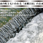 黒にんにく 黒ニンニク 100g にんにく ニンニク ガーリック  ギフト 産地直送 国産 大分県日田産