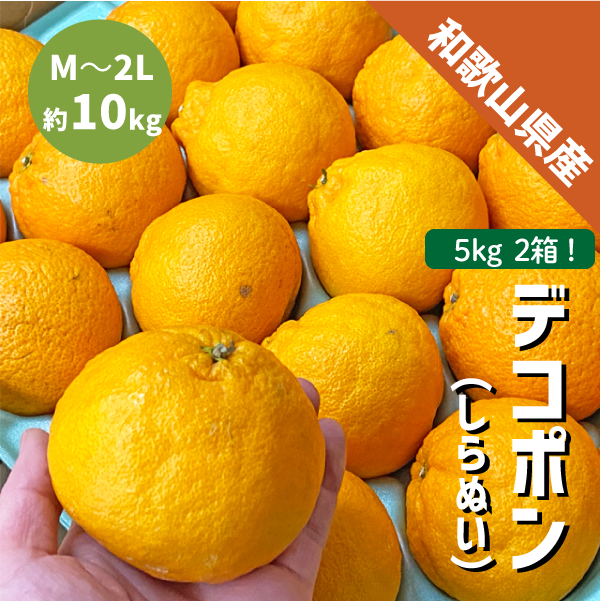 和歌山県産 デコポン 約10kg 和歌山 でこぽん 凸ポン しらぬい 不知火 ギフト 自宅用 贈答 柑橘 ありだ