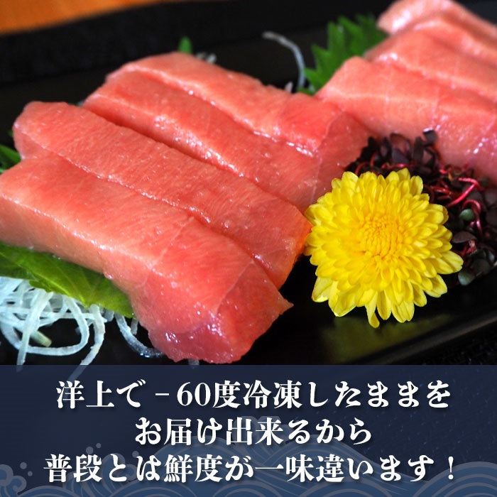 【ギフト】中とろ １．２ｋｇ 豊洲 お刺身 海鮮 丼 中トロ 贈答 豪華 グルメ