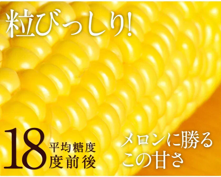 【売り切れ必至】とうもろこし すごあまこーん 7本入 (3L~L サイズ) 卯野農場 セット購入でおまけ付き 朝採り 生で食べられる 約1.8kg～約2.4kg 九州産 高糖度 クール便 送料無料 スイートコーン 《7月上旬～8月上旬頃より発送予定》|