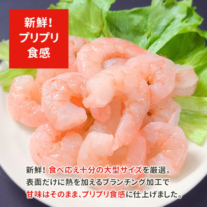訳あり プリプリむきえび 1.6kg（800g×2） 送料無料