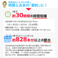 雪若丸 無洗米 30kg (精米後27kg) 山形県産 令和7年産 送料無料 米 30キロ こめ コメ お米 精米 新米 お米30kg 雪若丸30kg 雪若丸30キロ