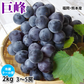 【7月下旬～8月上旬頃より順次出荷】ぶどう 巨峰 送料無料 2kg バラ・房混合 福岡・熊本県産 きょほう 葡萄 黒ぶどう 藤稔 ピオーネ