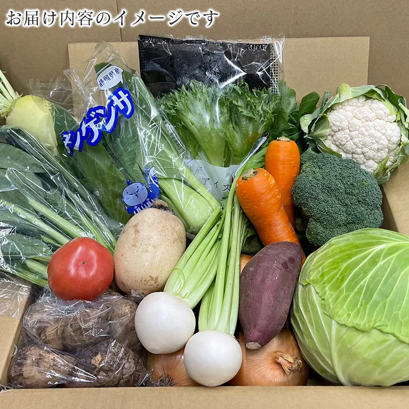 野菜 おまかせ 15種類 詰め合わせ　送料無料