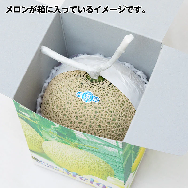 送料無料 敬老の日 お供え　国産 果物 プレゼント メロン 誕生日プレゼント 誕生日 お見舞 御礼 お祝 フルーツ ギフト 内祝 お返し 退院祝い 静岡産 マスクメロン 国産 手土産