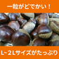 和栗 訳あり 1箱(2kg) L〜2Lサイズ 熊本産 クール便【ゲリラセール】60サイズ