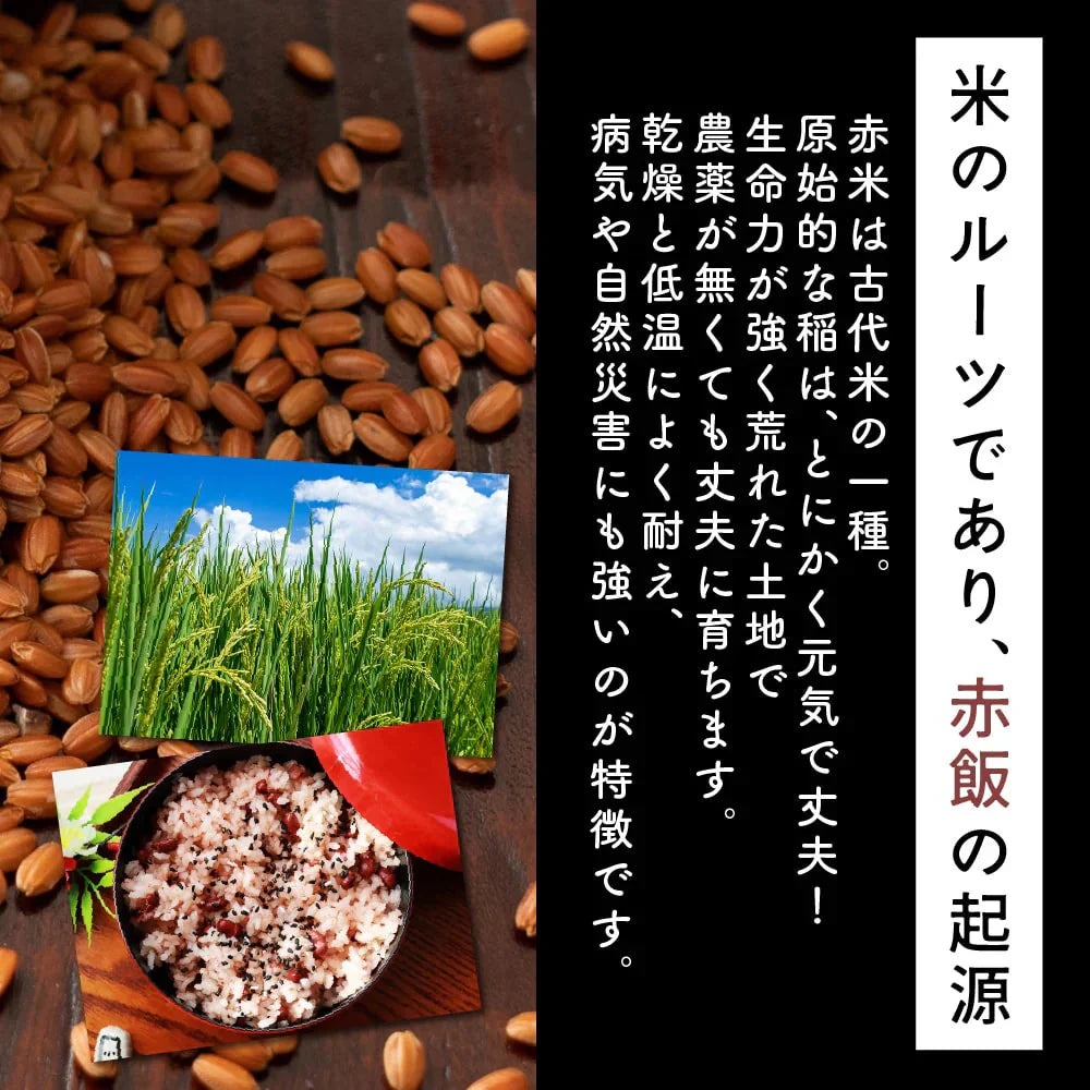雑穀 雑穀米 国産 赤米 24kg(400g×60袋)