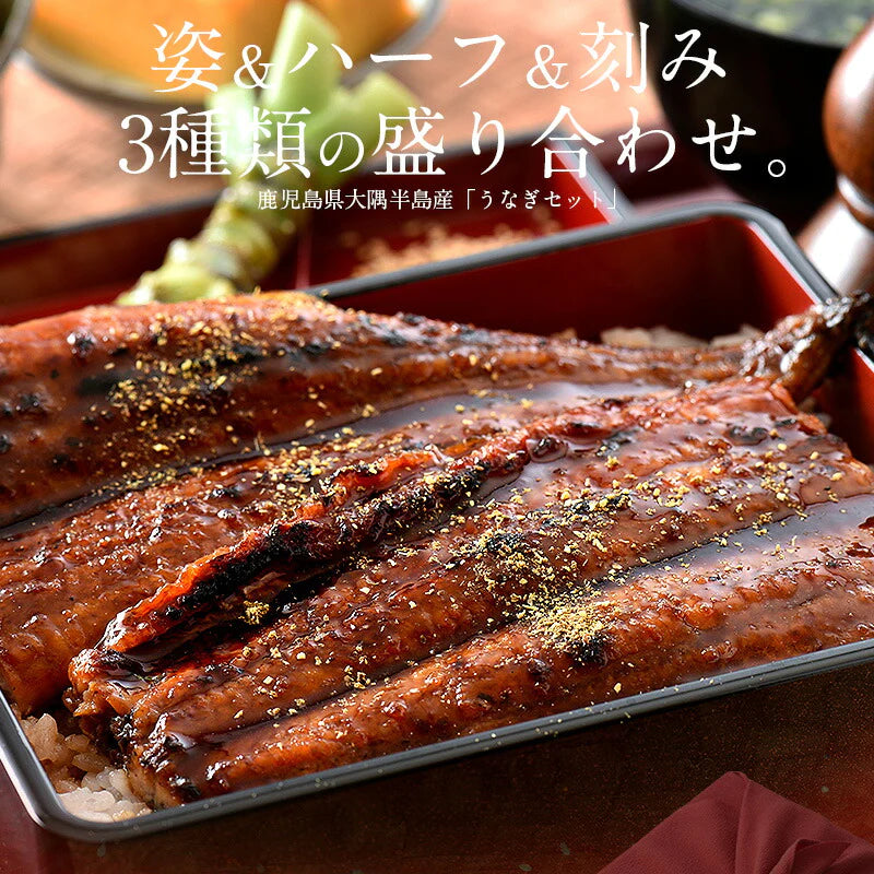 うなぎ 鰻 蒲焼き 国産 鹿児島県産 3種セット 無頭 165g前後×1尾 ウナギ ハーフカット 約80g 刻みうなぎ 50g［送料無料］ 国産鰻 うなぎの蒲焼 蒲焼 うなぎ蒲焼 国産うなぎ 蒲焼 贈り物 食品ギフト 刻み鰻 きざみうなぎ 母の日 プレゼント ギフト  母の日思いの 健康 実用的