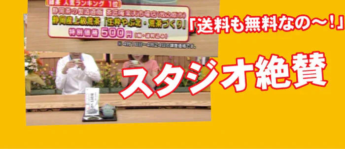 【2個セット】日本橋いなば園 静岡深蒸し茶 荒茶づくり 100g ネコポス メール便送料無料