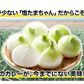 熊本県産 訳あり 塩たまちゃん 玉ねぎ たまねぎ 5kg 【5L-2Sサイズ不選別】 子出藤 (ねでふじ)さん 送料無料 塩タマネギ 新たまねぎ 塩玉ちゃん 塩玉 お取り寄せ お取り寄せグルメ《7-14営業日以内に出荷(土日祝除く)》