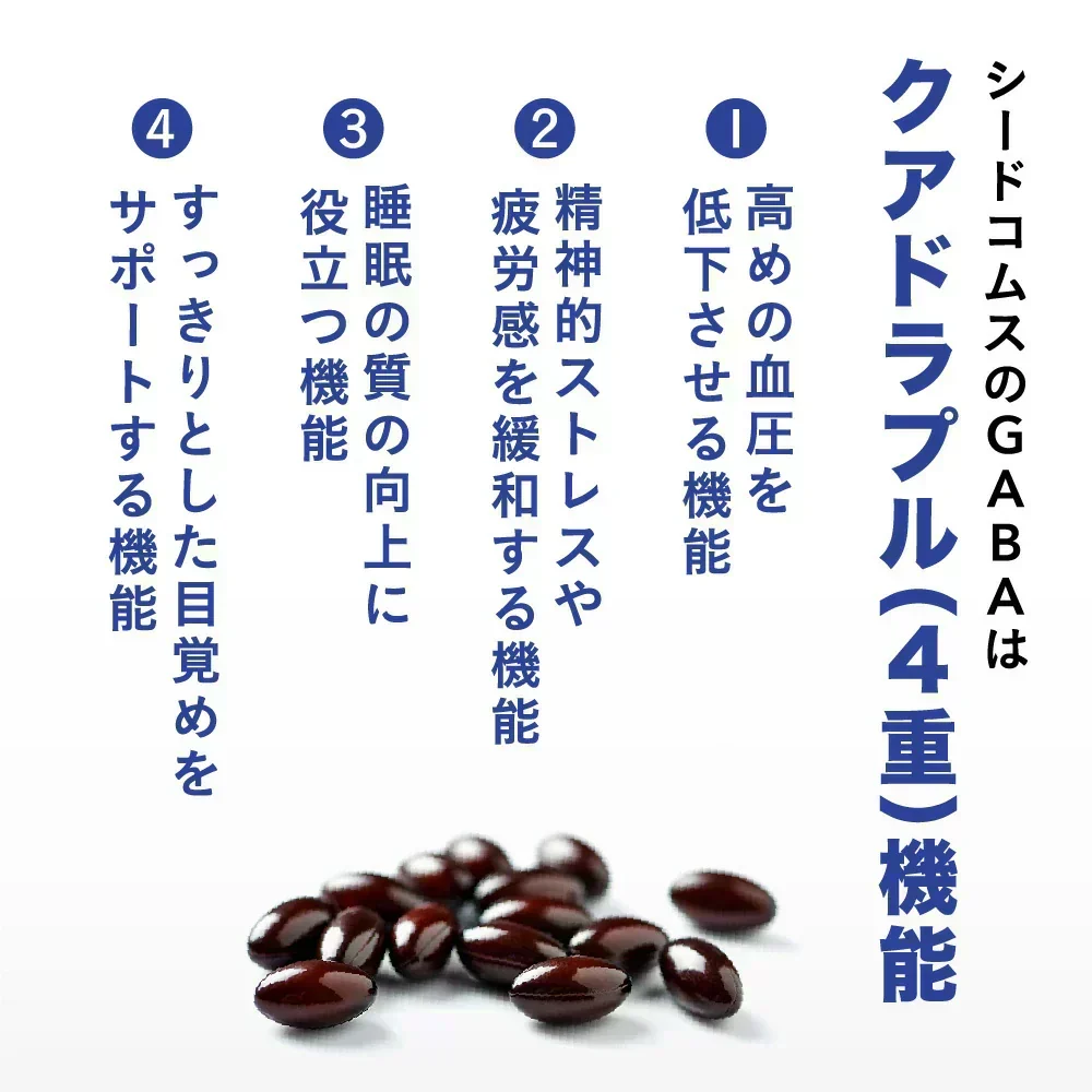 血圧 睡眠 ストレス GABA《約1ヶ月分》 機能性表示食品 GABA1粒100mg配合 テアニン トリプトファン グリシン